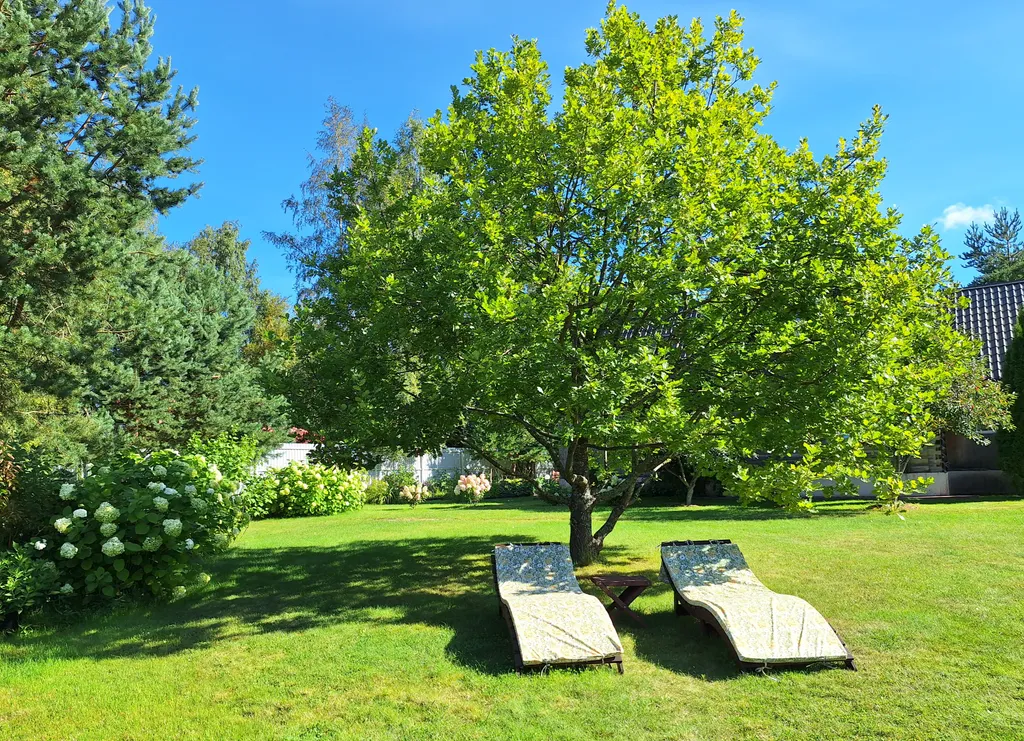 Коттедж Дом на берегу залива с баней и камином — Ключевое