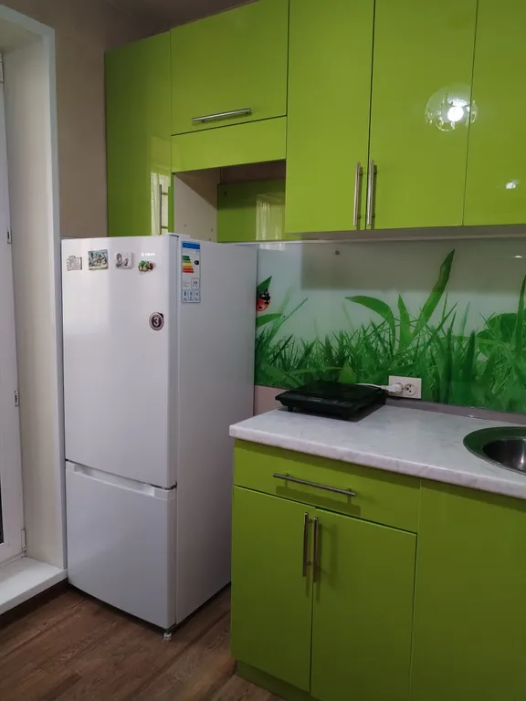 Квартира Уютная квартира в центре курорта Шмаковка — Лесозаводск