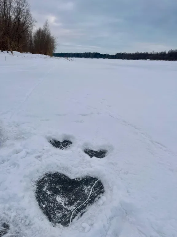 Гостевая часть дома в сосновом бору у реки