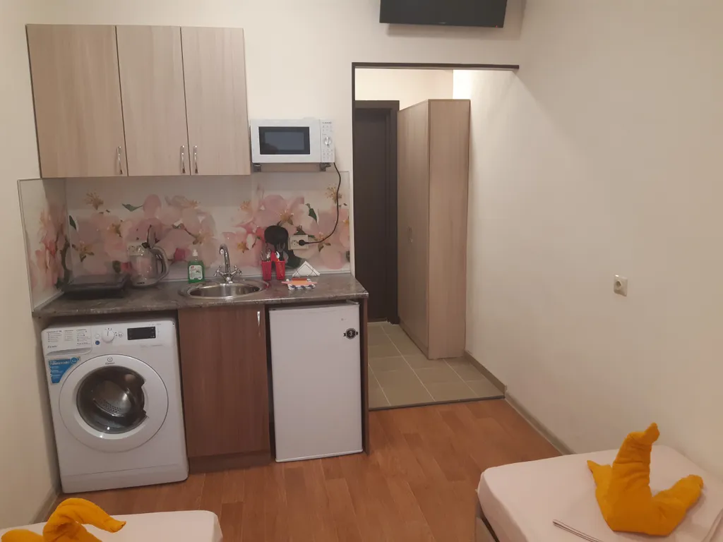 Двухместная студия в Гостевом доме Домашний