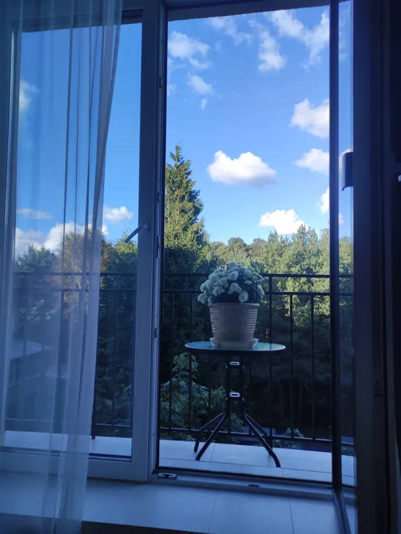 Замечательная квартира рядом с морем прямо в парке