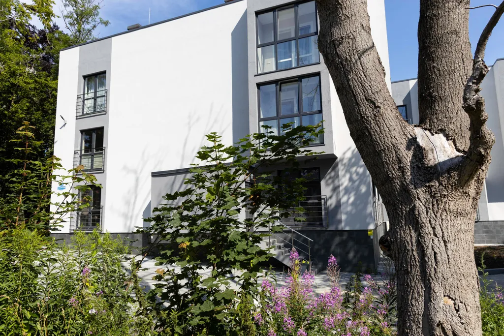 Балтийские горизонты