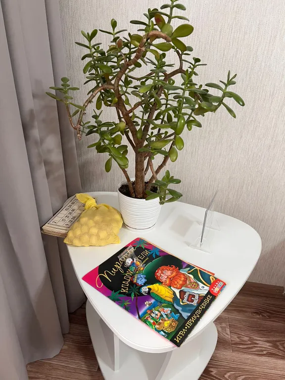 Уютные однокомнатные апартаменты Мандарин