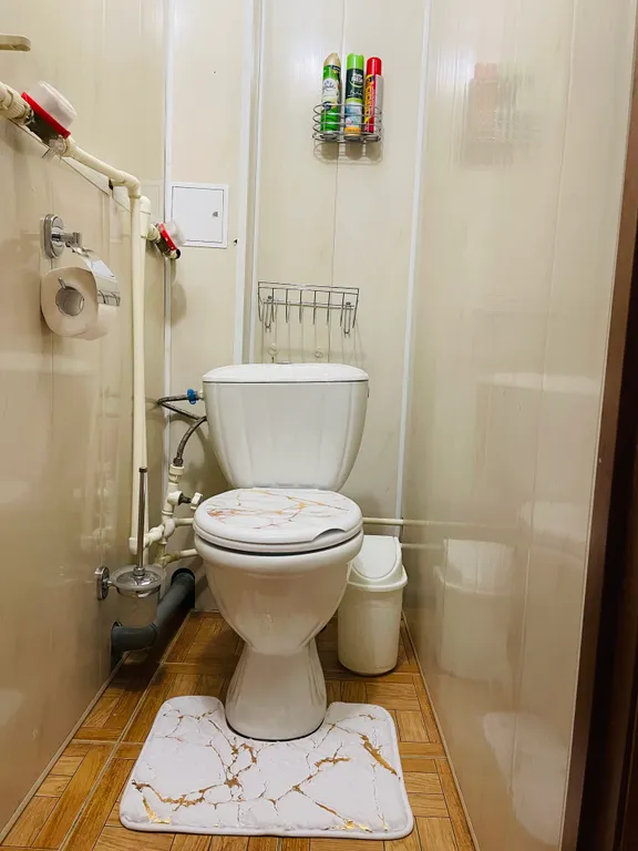 Светлая и уютная 2-комнатная квартира в центре