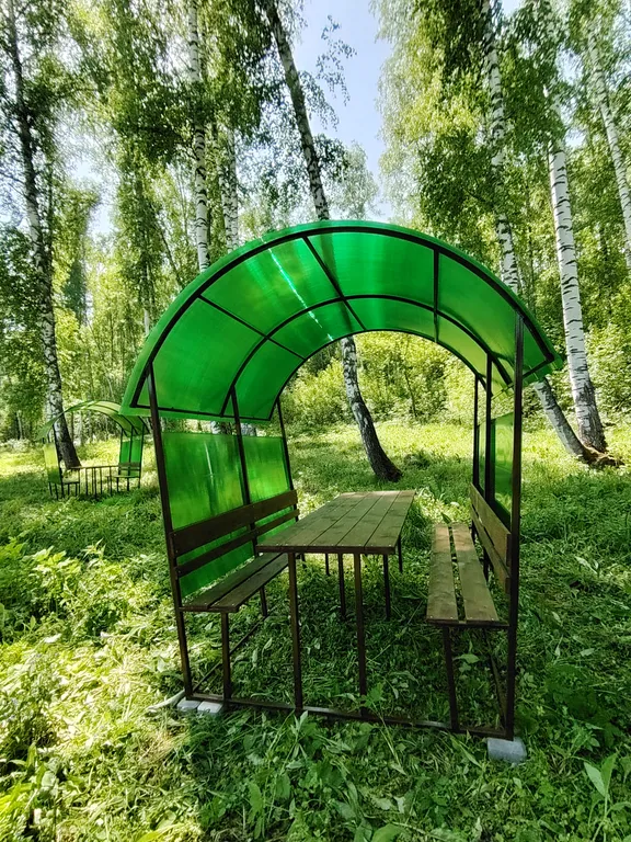 Летний номер с видом на березовый лес