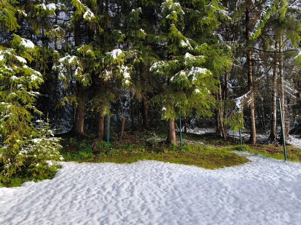 Уютный домик-глемпинг с сауной в лесу