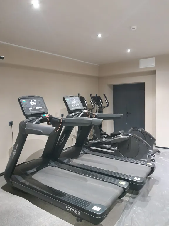 Студия в сосновом бору