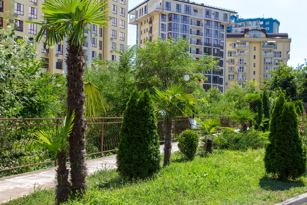 Квартира с балконом и видом на гору