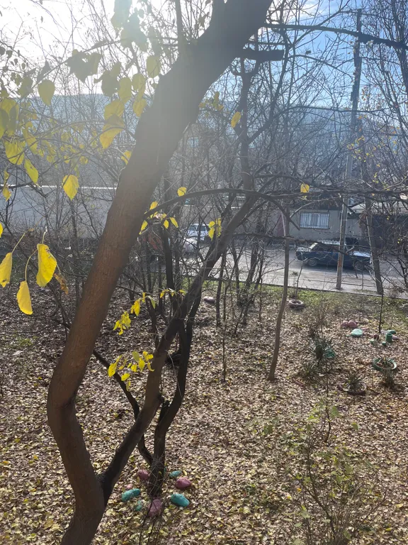 Уютная квартира со свежим ремонтом в центре