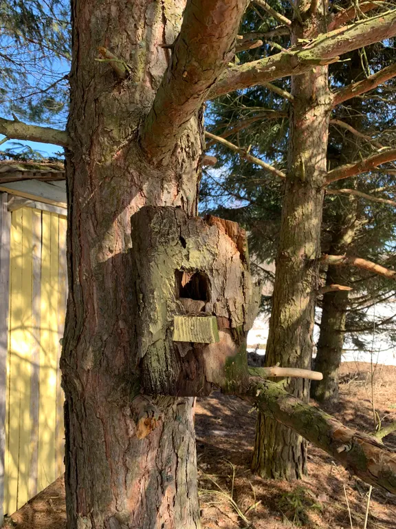 Вилла Лаванда Гостевой дом