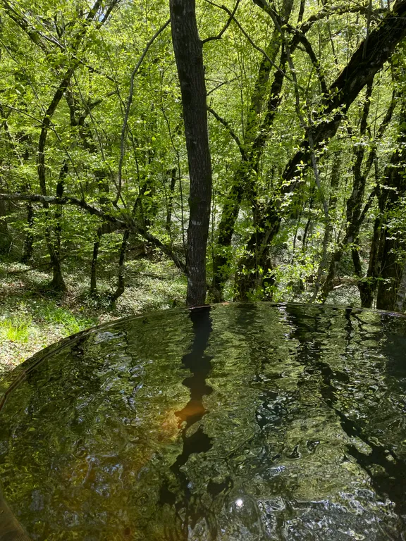 Дом на краю леса с видом на горы