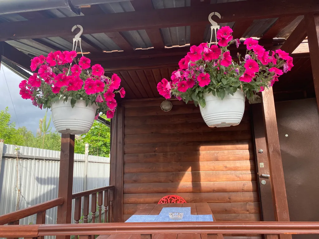 Эко-дом в центре