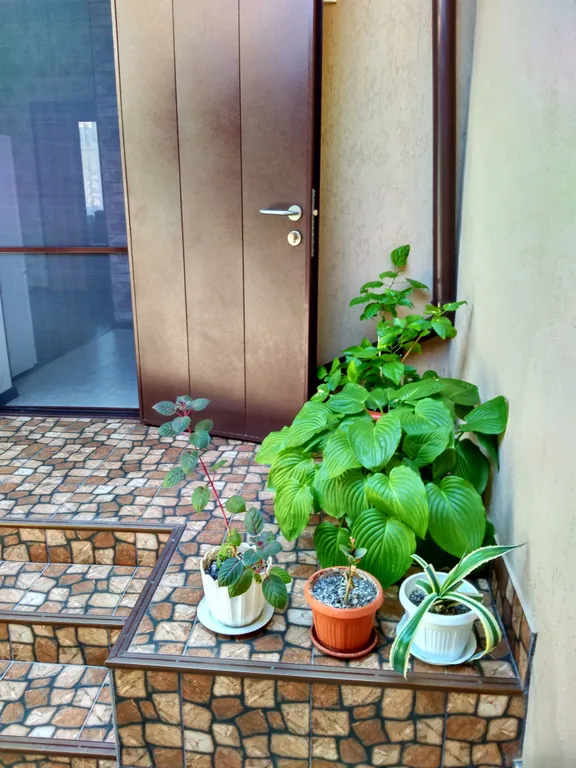 Дом для семьи в курортной зоне под ключ