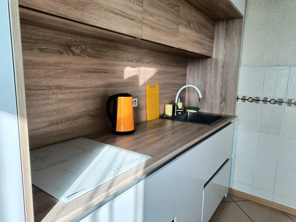 Двухкомнатная квартира у Рубина