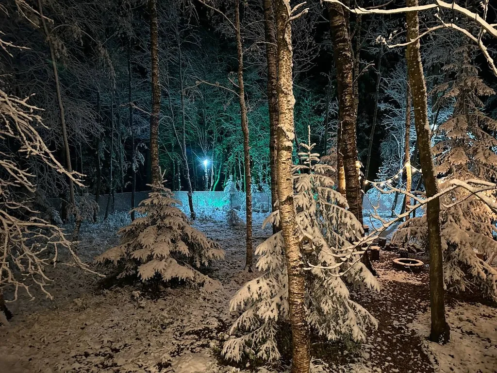 Шале в лесу в Подмосковье