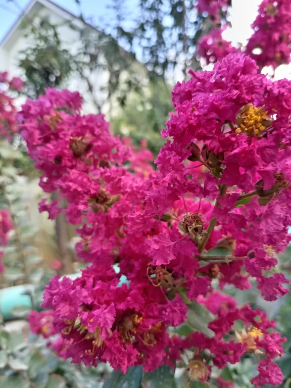 Квартира у моря