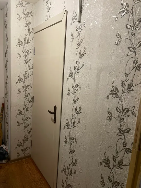 Студия напротив парка