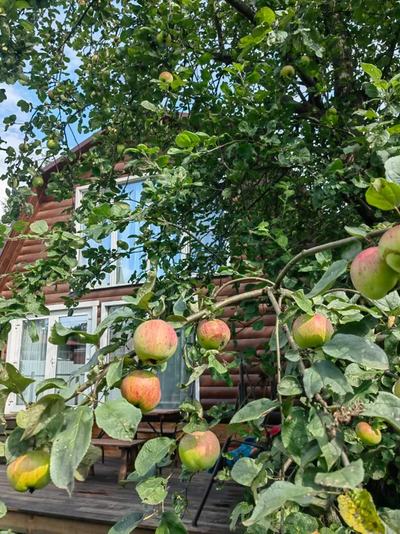 Дом с видом на церковь