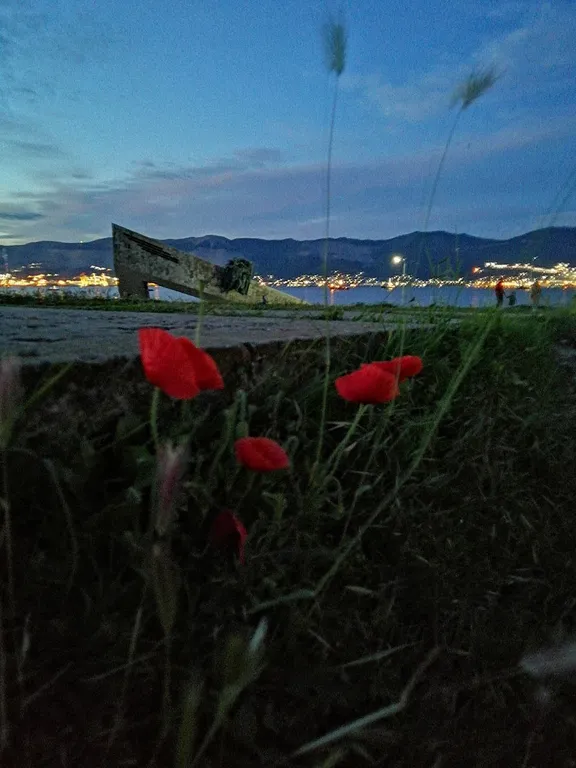 Квартира для тебя