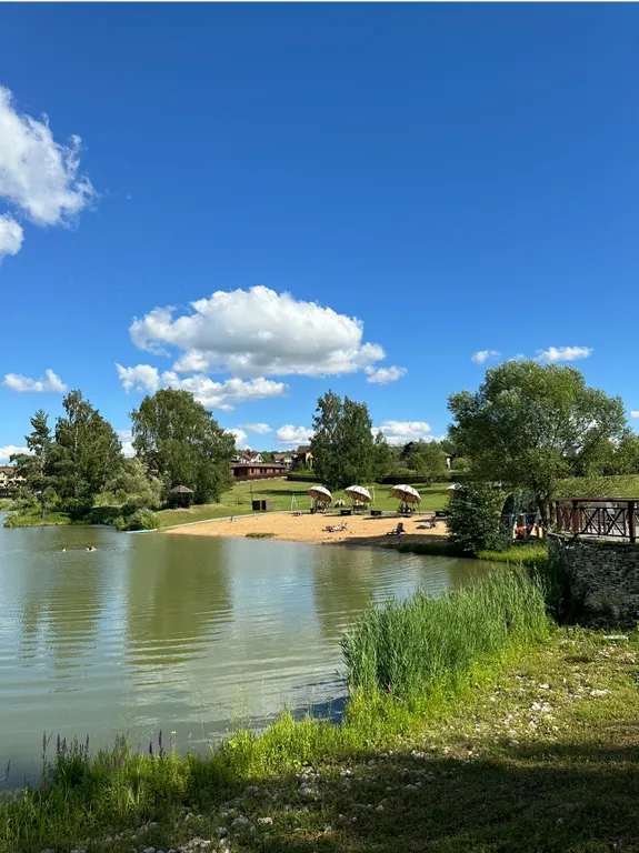 Дубльдом с видом на лес и городским комфортом в Капитан клаб