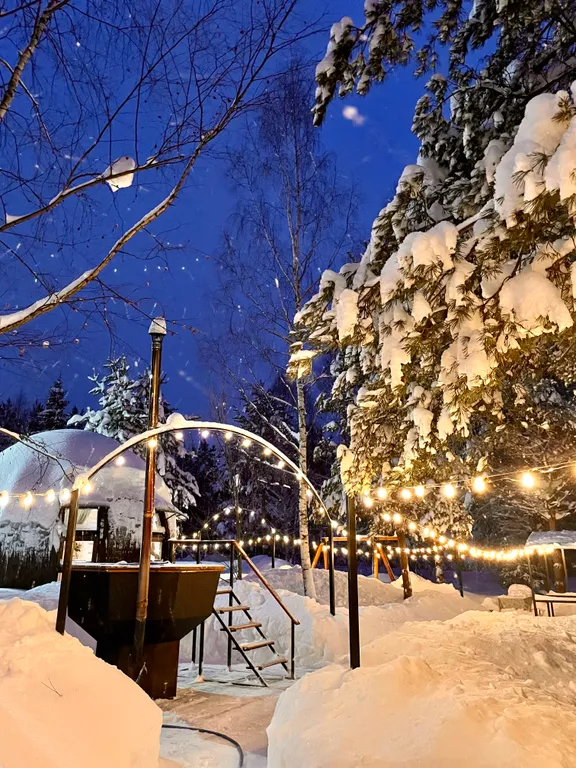 Уникальный купольный дом среди хвойного леса