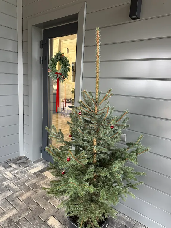 Дом между Брестом и Беловежской пущей