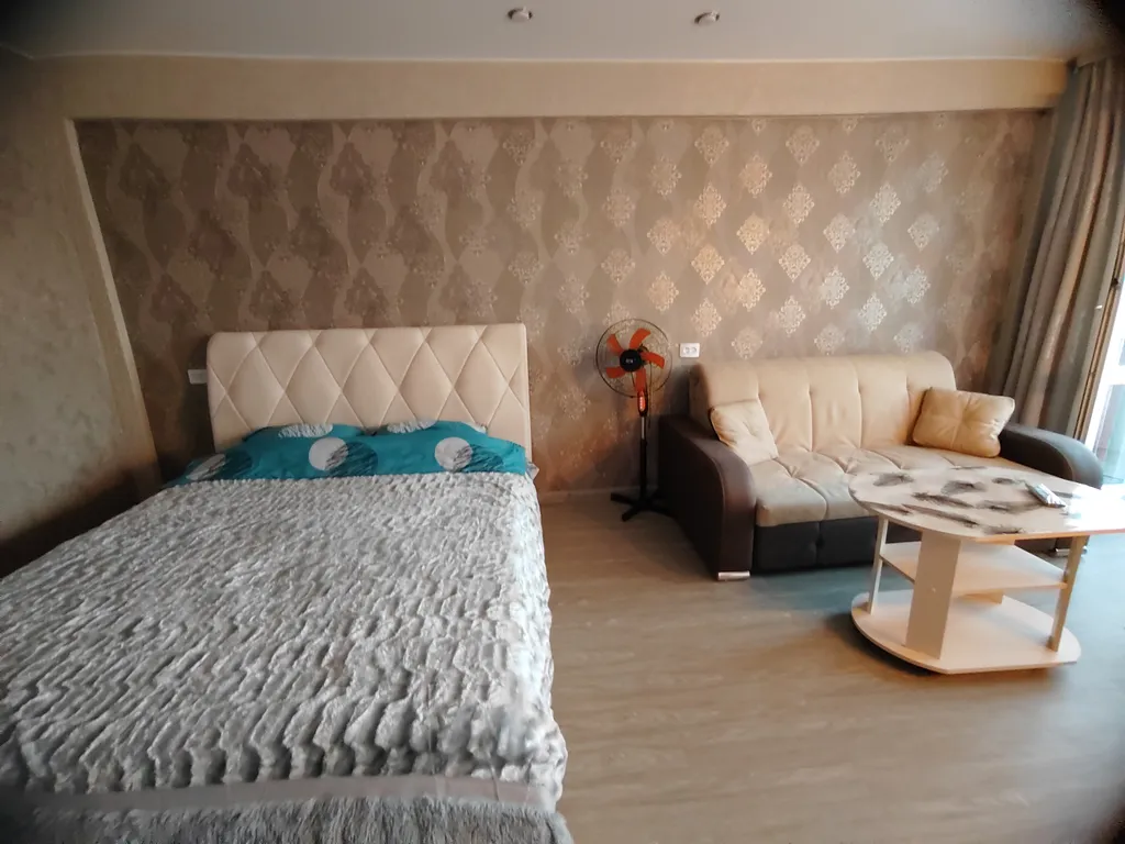 Уютная студия Люкс в центре города