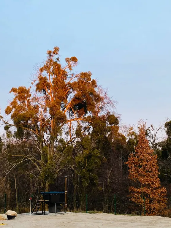Гостевой Дом "Озерки"