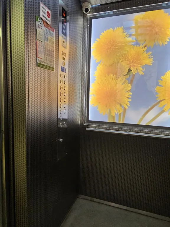 Современная 3х комнатная квартира в элитном ЖК в центре Владивостока