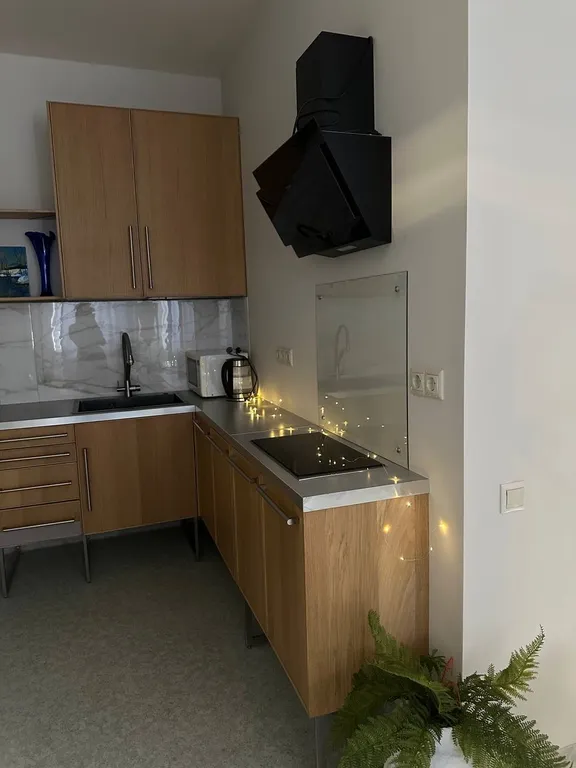 Квартира Квартира в стиле эклектики в 5 минут ходьбы от метро Спартак и Тушинская — Москва