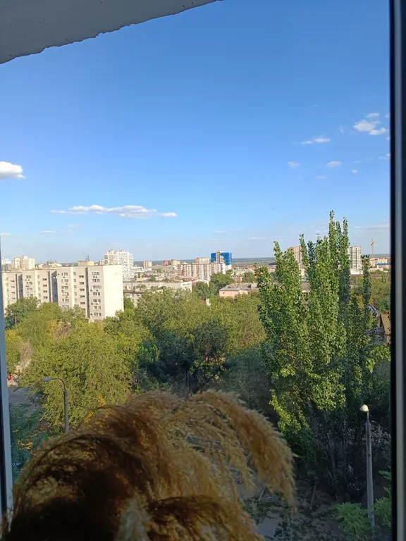 Квартира с видом для спокойного отдыха