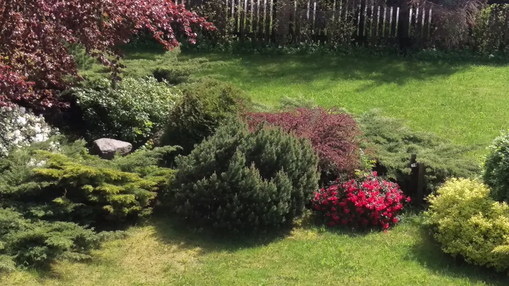 Четырехместный комфорт с террасой