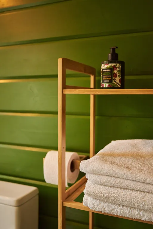 Дом-шале в горах Алтая