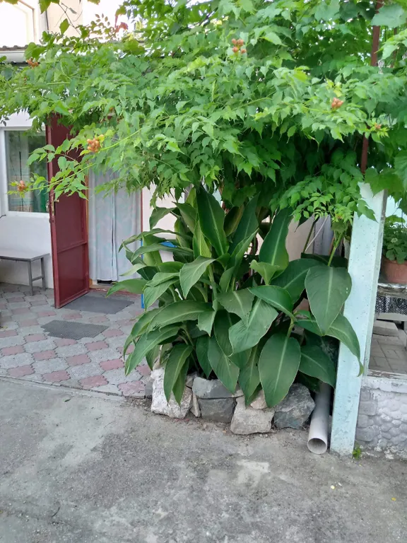 Рады гостям