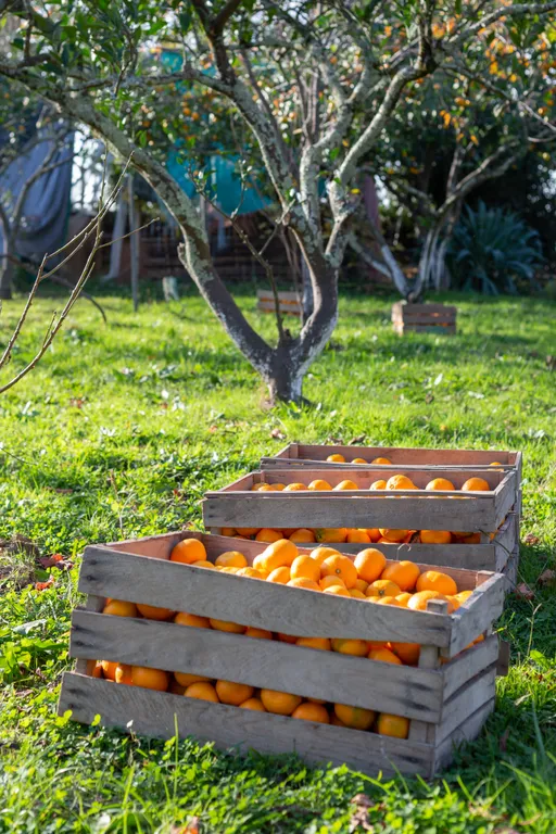 Коттедж Коттедж Уютные бунгало на берегу моря — Сухум