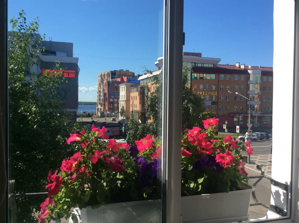 Уютная квартира с видом на Северную Двину — аренда посуточно в Архангельск