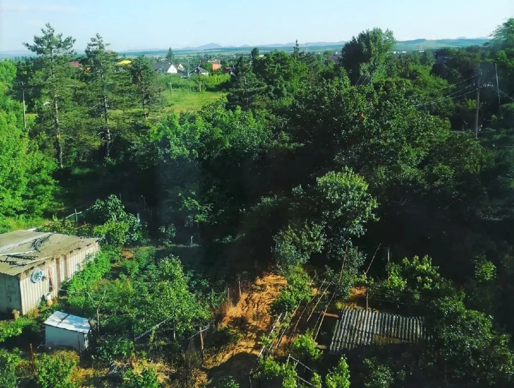 Уютная 1-комнатная квартира в спальном зелёном районе