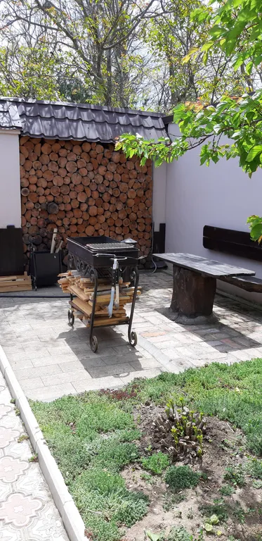 Дом на земле