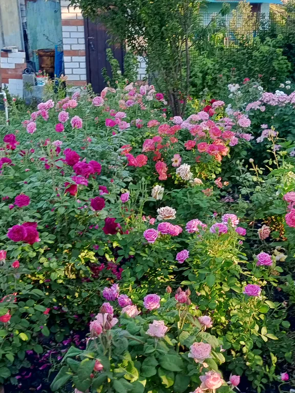 Уютная дача посуточно для семейного отдыха, ночлега