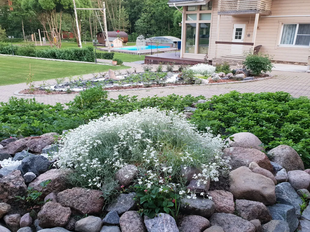 Коттедж Дом на берегу финского залива — Подборовье