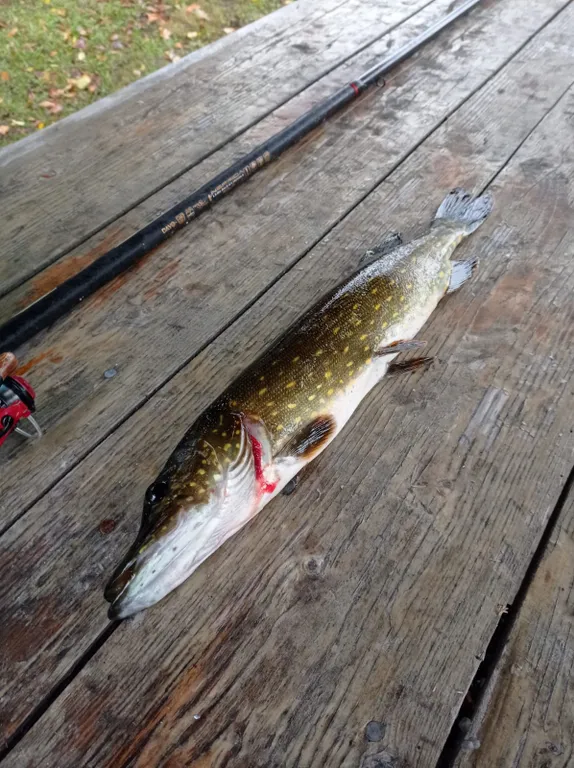 Гостевой дом на берегу озера Отолово