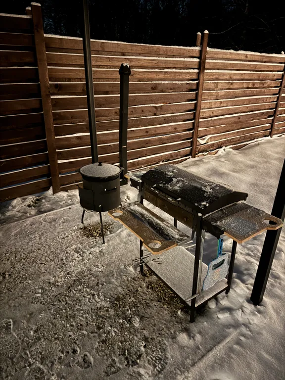 Дом с просторной террасой у леса