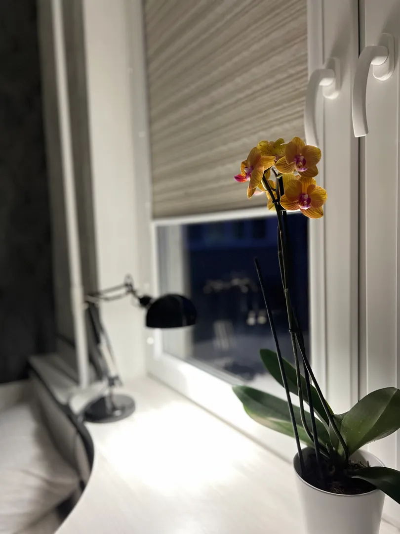 Фото