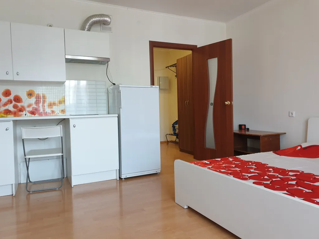 Квартира Квартира Просторная и красивая студия — Пушкин