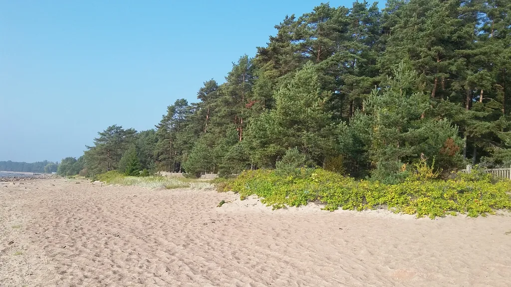 Коттедж Академическая дача (коттедж) у Финского залива, Зеленогорск-Смолячково — Санкт-Петербург