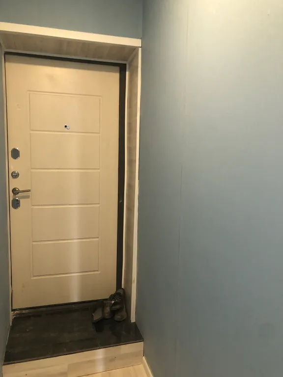 Квартира Уютная квартира в хвойном лесу на Волге — Шоша, п.