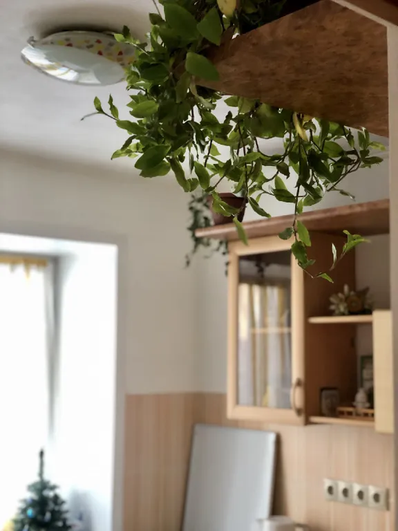 Апартамент фьюжн