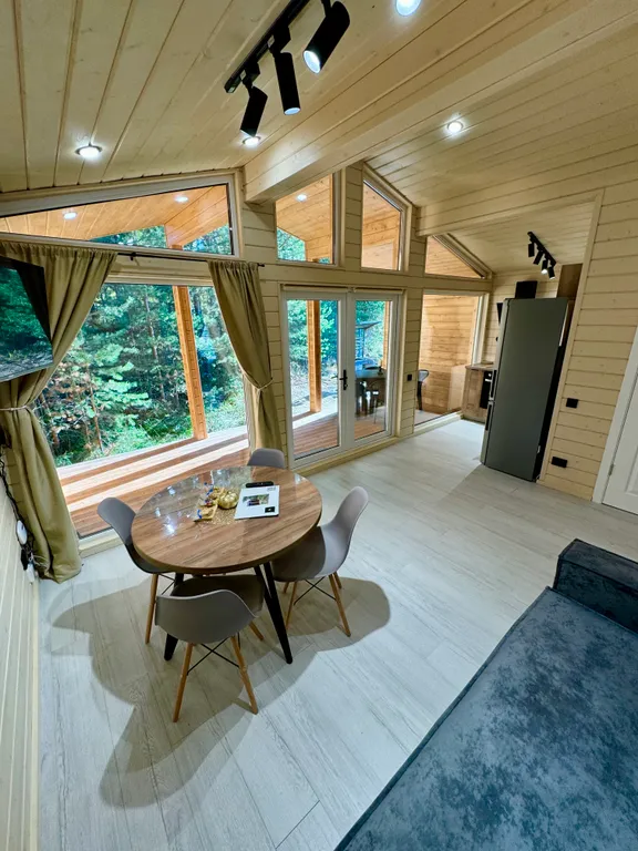 Дизайнерский коттедж возле курорта Игора (серый Balance)