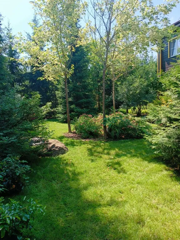 Уютный гостевой дом Живица