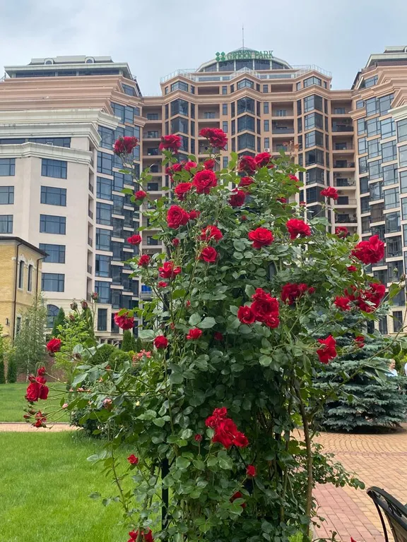 ЖК Грин Парк 3-х комнатные апартаменты